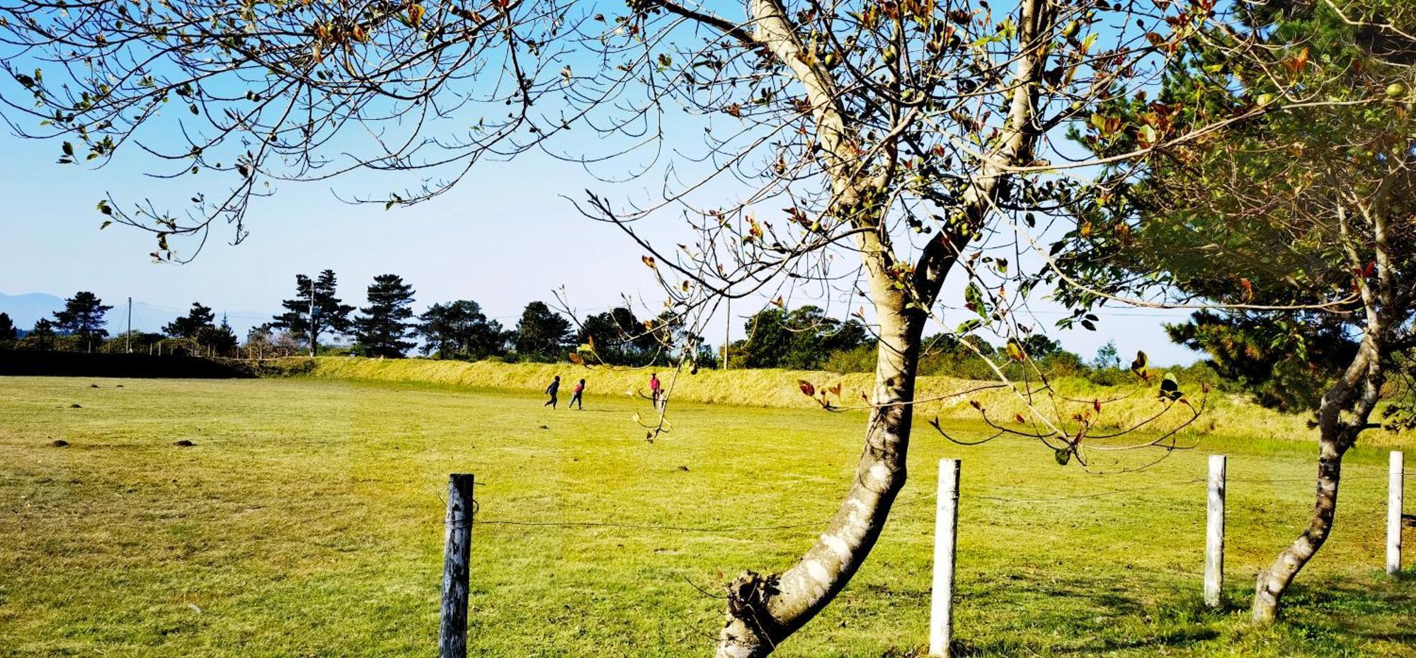 Moonsong Accommodation & Camping Plettenberg Bay Eksteriør bilde