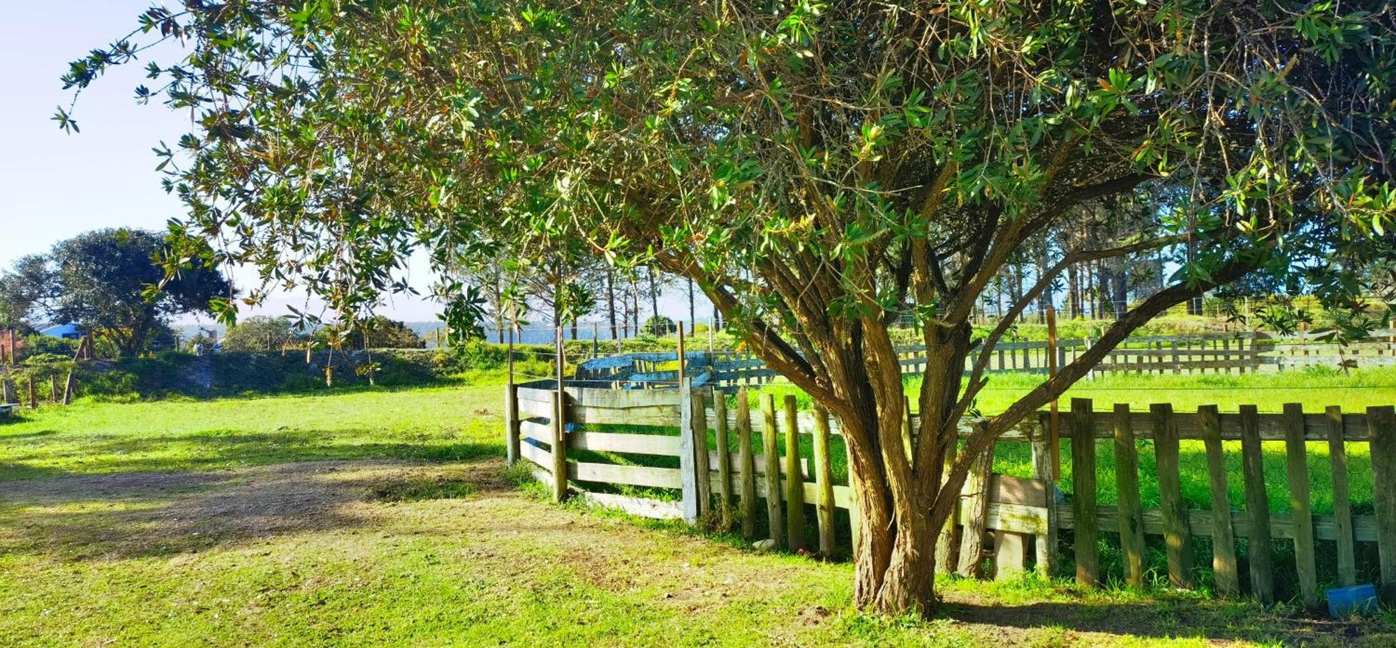 Moonsong Accommodation & Camping Plettenberg Bay Eksteriør bilde
