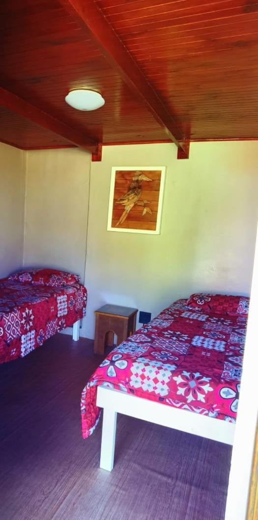 Moonsong Accommodation & Camping Plettenberg Bay Eksteriør bilde